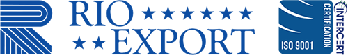 Rio Export